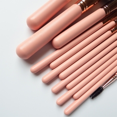 13pieces makeup brushes set for women