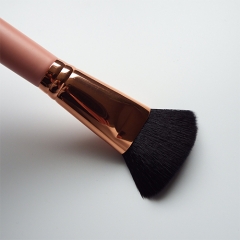 13pieces makeup brushes set for women