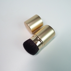 Retractable Face Brush