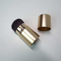 Retractable Face Brush