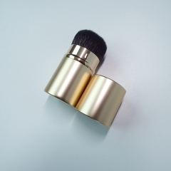 Retractable Face Brush