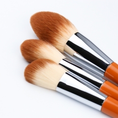 10 Pcs Premium Synthetic Makeup Brush Set, Wooden Handle in Fashional Color with Great Touch