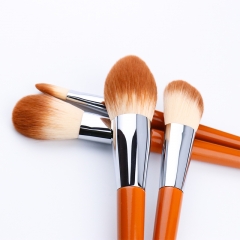 10 Pcs Premium Synthetic Makeup Brush Set, Wooden Handle in Fashional Color with Great Touch