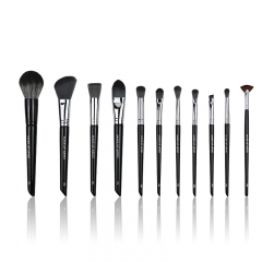 Classic Makeup Brush Set for Beginner & Professional Makeup Artist , 11 Pieces Including Foundation, Powder, Contour, Concealer & Eyeshadow brush etc