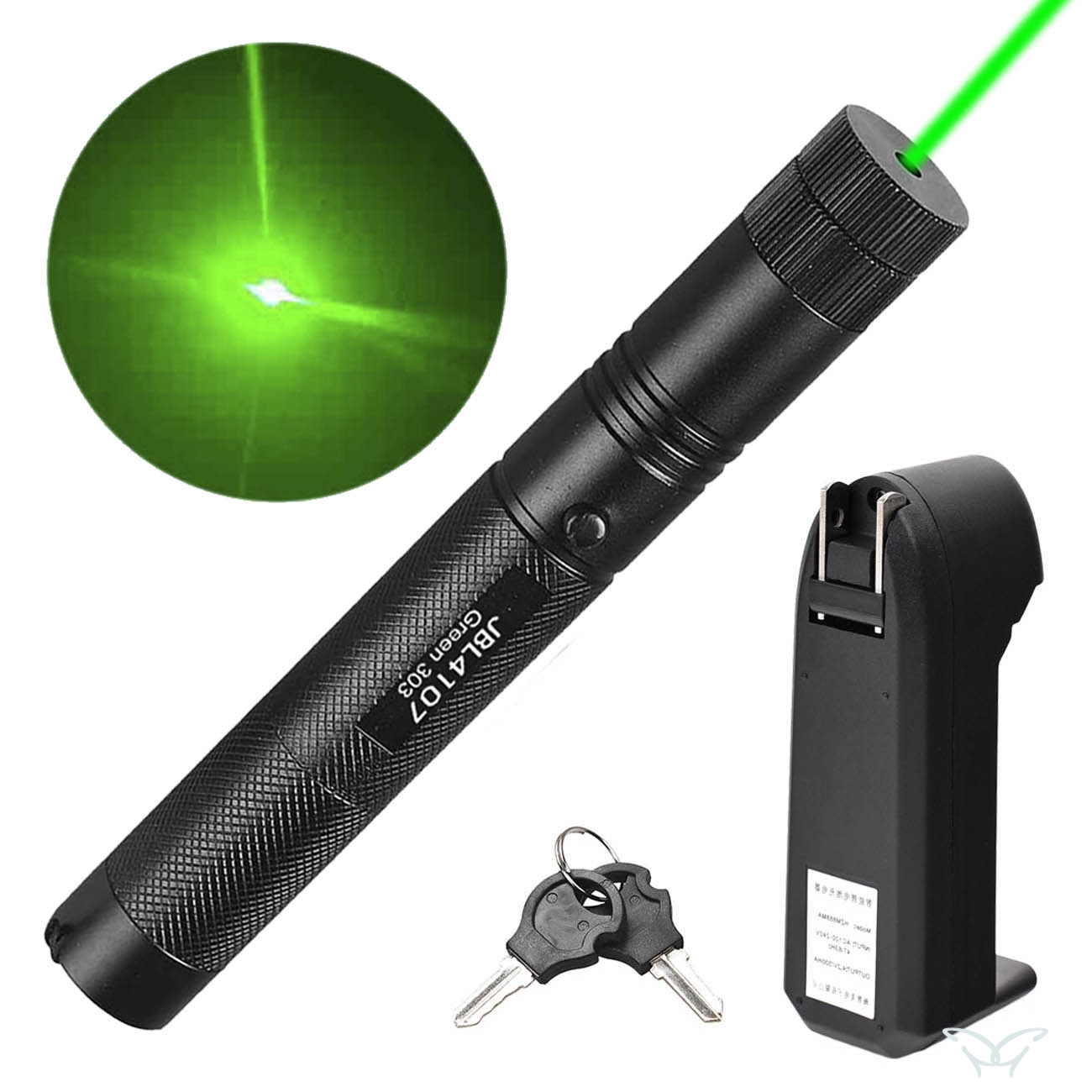 303 Green Laser Pointer 532nm Laser Pen 2IN1