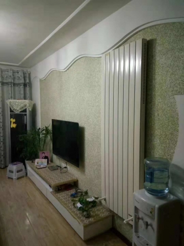 Wall Mounted Infrared Heating Electric Convector Heaters