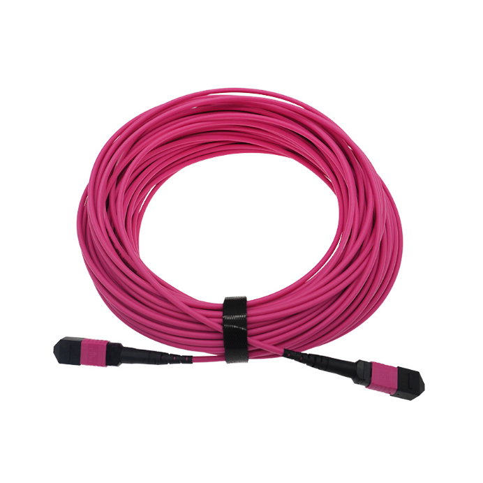 Raynool MPO Jumper OM4 UPC F to F 12 Fibers Type B OFNP Fiber Jumper