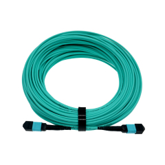 Raynool Customized MPO Jumper 8-288F, OS2, OM3, OM4, Cable Jacket Available in Riser, OFNP and LSZH Flame Rating