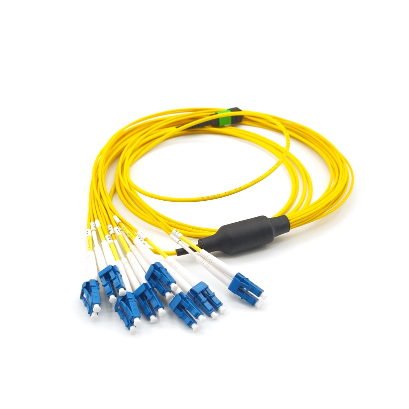 Raynool Customized MPO Harness 8-144F OS2 LC UPC Fiber Harness