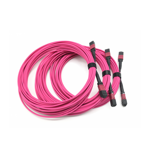 Raynool MPO Jumper OM4 UPC F to F 12 Fibers Type B OFNP Fiber Jumper
