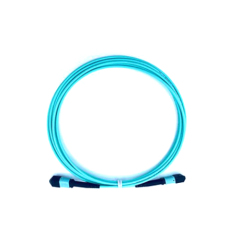 Raynool Customized MPO Jumper 8-288F, OS2, OM3, OM4, Cable Jacket Available in Riser, OFNP and LSZH Flame Rating