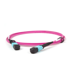 Raynool Customized MPO Jumper 8-288F, OS2, OM3, OM4, Cable Jacket Available in Riser, OFNP and LSZH Flame Rating