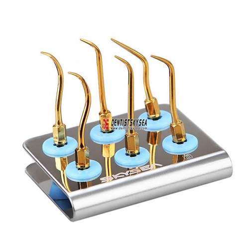 Dental Scaler Standard Kit Gold for NSK Ti-Max AIR NASKG