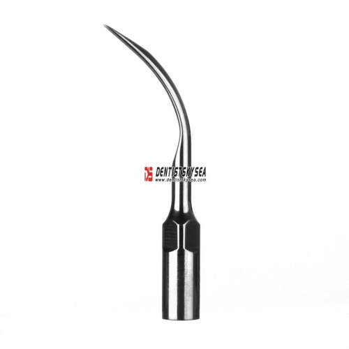 Dental Scaling Tip G6