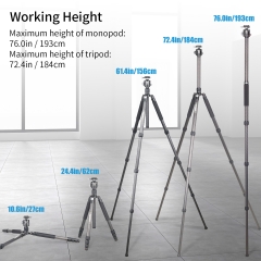 RT85C Gun System Carbon Fiber Camera Tripod with N44 Ball Head