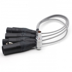 30cm 10 Pin to XLR 3 Pin Female*2 and Male*2 XLR Audio Cable for ATOMOS Shogun Inferno Monitor