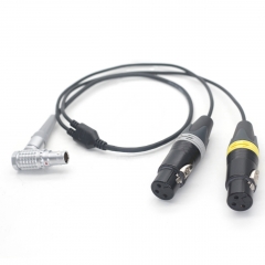 30cm 10 Pin to Dual Head 3 Pin Female XLR Audio Cable for ATOMOS Shogun Inferno Monitor