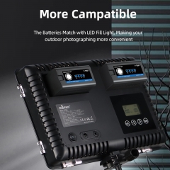 Half Decoding Type-C and USB A Interface Li-ion Battery Sony L Series