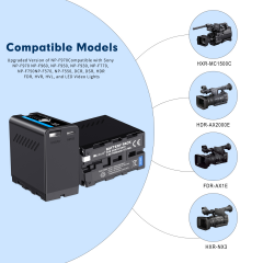 Full Decoding Type-C and USB A Interface Li-ion Battery Sony L Series