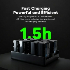 Quick Charger for Sony NPF Series and FZ100 Quick Charger