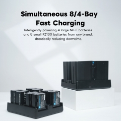 Quick Charger for Sony NPF Series and FZ100 Quick Charger