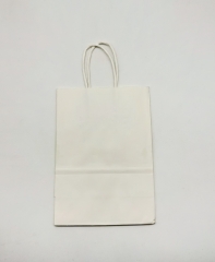 Premium Small Vertical Kraft Paper Carry Bags