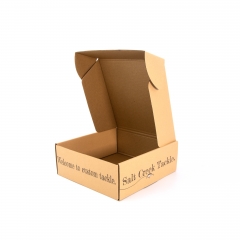 Salt Creek Tackle Kraft Packing Box