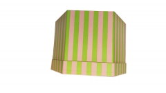 Pink & Green Stripe Hexagon Rigid Gift Box