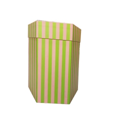 Pink & Green Stripe Hexagon Rigid Gift Box