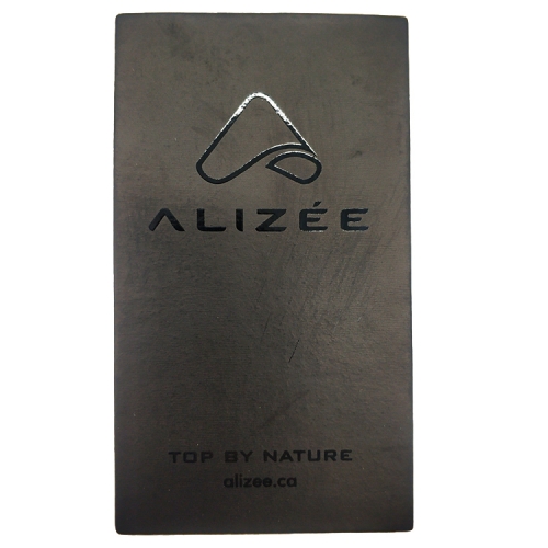 Minimalist Black ALIZÉE Logo & Contact Card