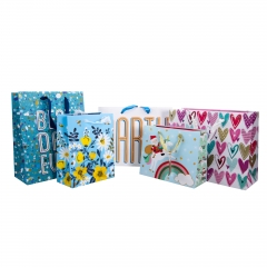 Assorted Colorful Printed Paper Gift Bags