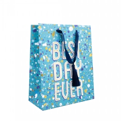 Assorted Colorful Printed Paper Gift Bags