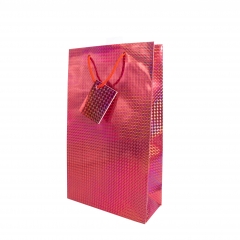 Assorted Festive Gift Bags with Glitter and Foil Designs