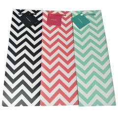 Colorful Chevron Wine Bottle Gift Bags with Coordinating Bags