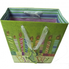 Green "Celebrate Birthday" Candle Gift Bag