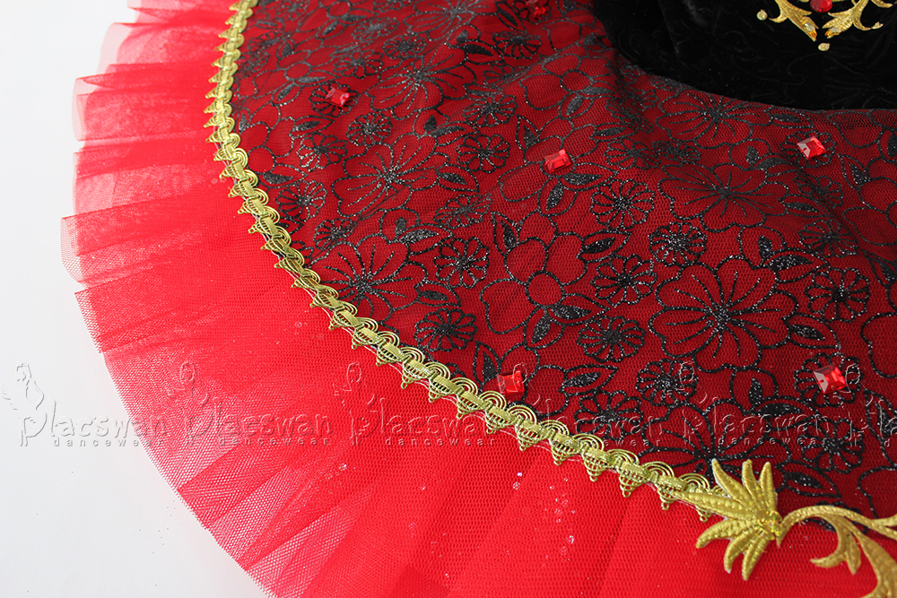 Don Quixote Ballet Costume