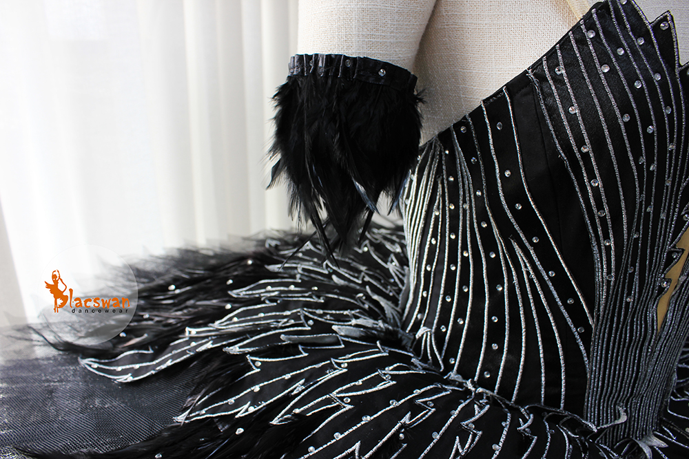 Swan Lake Costume Ballet,Black Swan Ballet Tutu