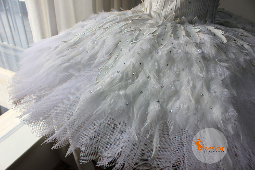 Ballet Swan Lake Costume