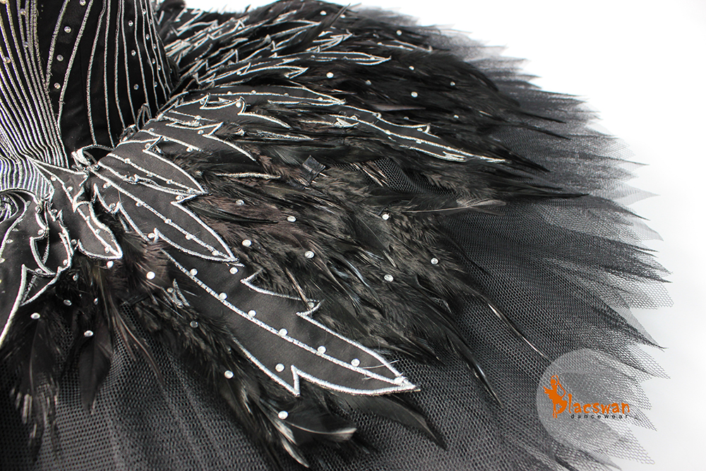 Swan Lake Costume Ballet,Black Swan Ballet Tutu