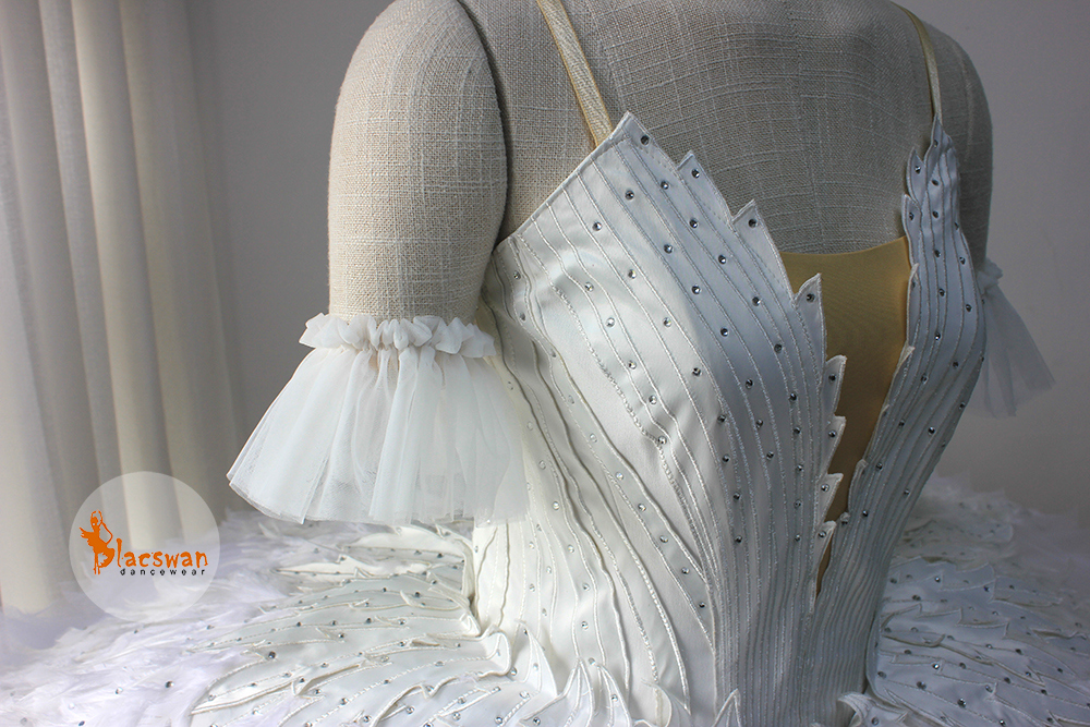 Ballet Swan Lake Costume