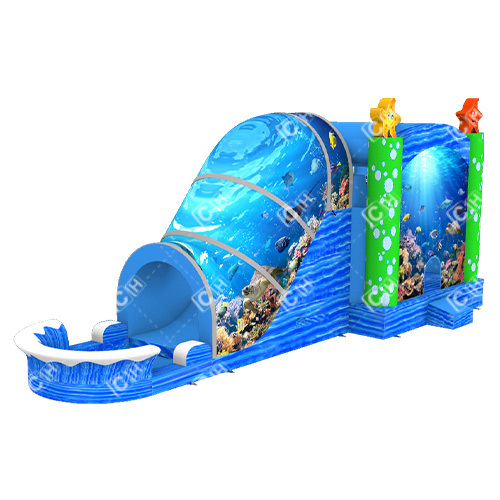 CH Latest Design Big Inflatable Slide With Pool Undersea Tunnel Coral And Fish Inflatable Combo