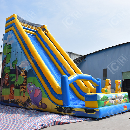 CH Factory Price Cartoon Inflatable Dry Slide Outdoor Inflatable Bouncer Slide Inflatable Castle Slide