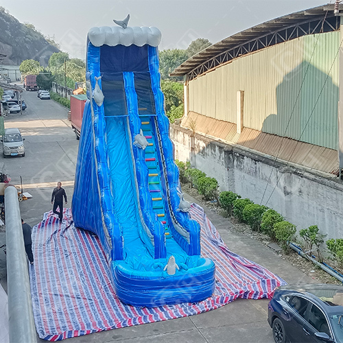 CH Hurricane Color Wave Dolphin Giant Inflatable Water Slide With Pool For Kids And Adults
