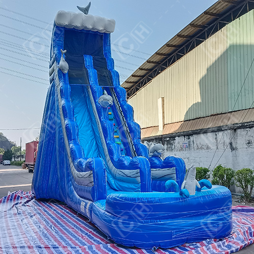 CH Hurricane Color Wave Dolphin Giant Inflatable Water Slide With Pool For Kids And Adults