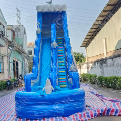 CH Hurricane Color Wave Dolphin Giant Inflatable Water Slide With Pool For Kids And Adults