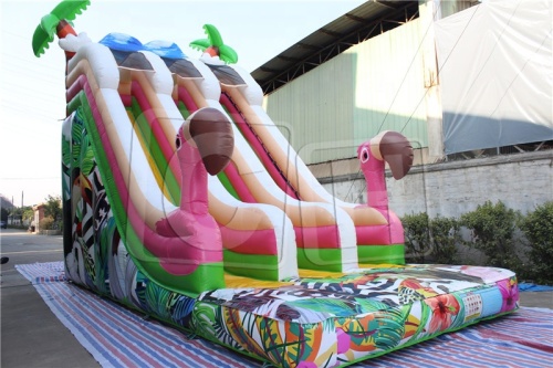 CH Hot Sale Inflatable Dry Slide,Outdoor And Indoor Inflatable Slide Jumping Castle,Beautiful Commercial Inflatable Slide For Party