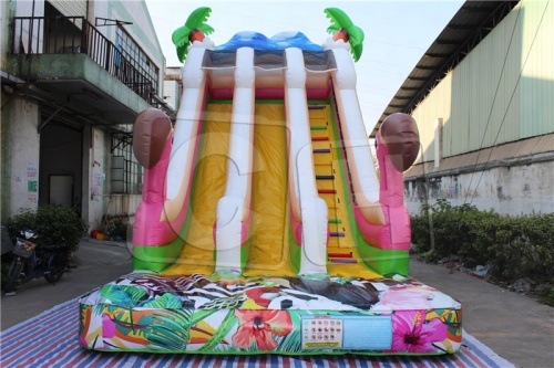 CH Hot Sale Inflatable Dry Slide,Outdoor And Indoor Inflatable Slide Jumping Castle,Beautiful Commercial Inflatable Slide For Party