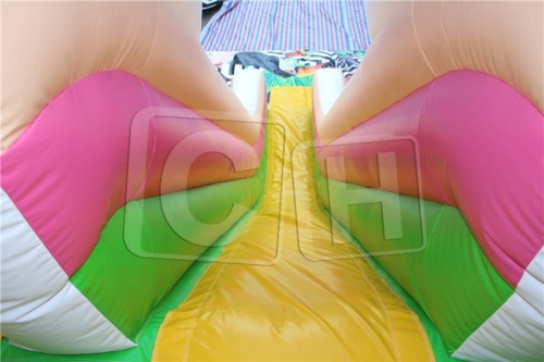 CH Hot Sale Inflatable Dry Slide,Outdoor And Indoor Inflatable Slide Jumping Castle,Beautiful Commercial Inflatable Slide For Party