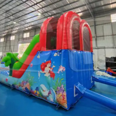 CH Professional Supplier Commercial Kids Jumping slide Inflatable Water Slide PVC Cheap Inflatable Water Slides