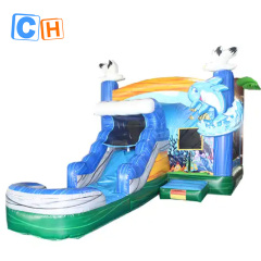 Hurricane Color Inflatable Shark Bouncer And Slide Combo Inflatable Shark Combo